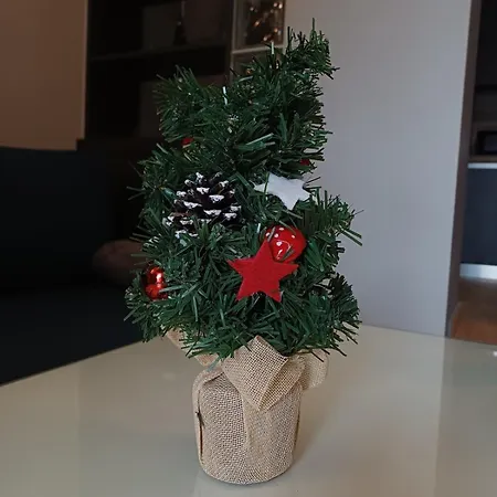 Apartament Nesto *